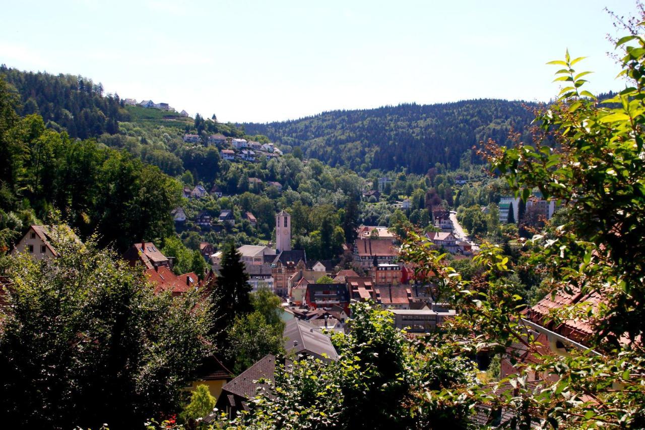 Hotel Cafe Adler 24H Self Check In Triberg im Schwarzwald Zewnętrze zdjęcie